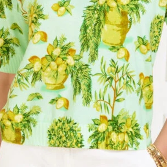 NWT Talbots ELBOW SLEEVE PULLOVER - LEMON TREES Size US 1X - Picture 4 of 5